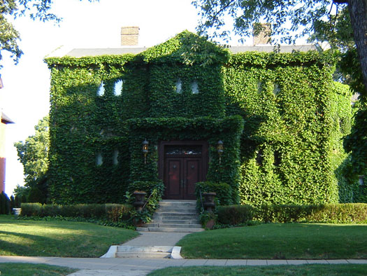 Driscoll House, 312 Summit Avenue, St. Paul, Minnesota